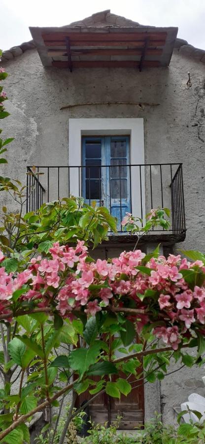 Ca Betulla Villa Novate Mezzola Exterior foto