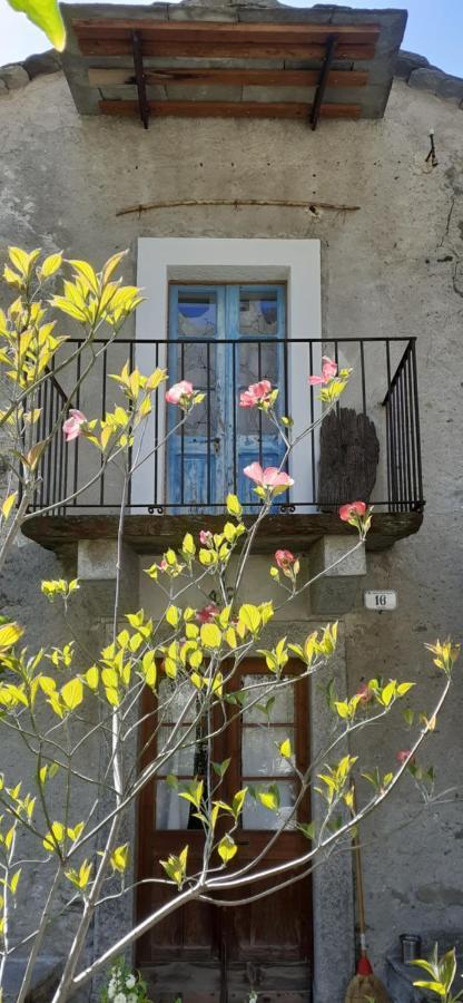Ca Betulla Villa Novate Mezzola Exterior foto