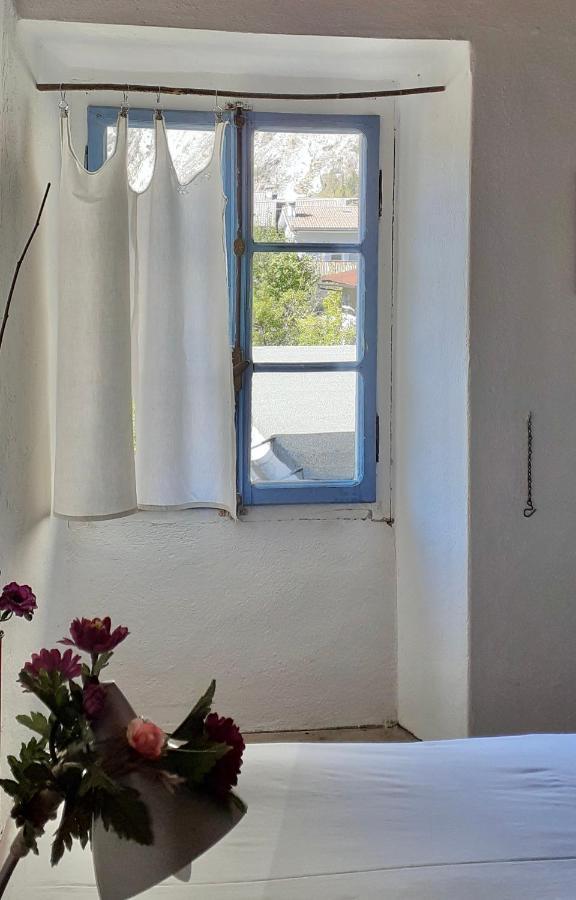Ca Betulla Villa Novate Mezzola Exterior foto